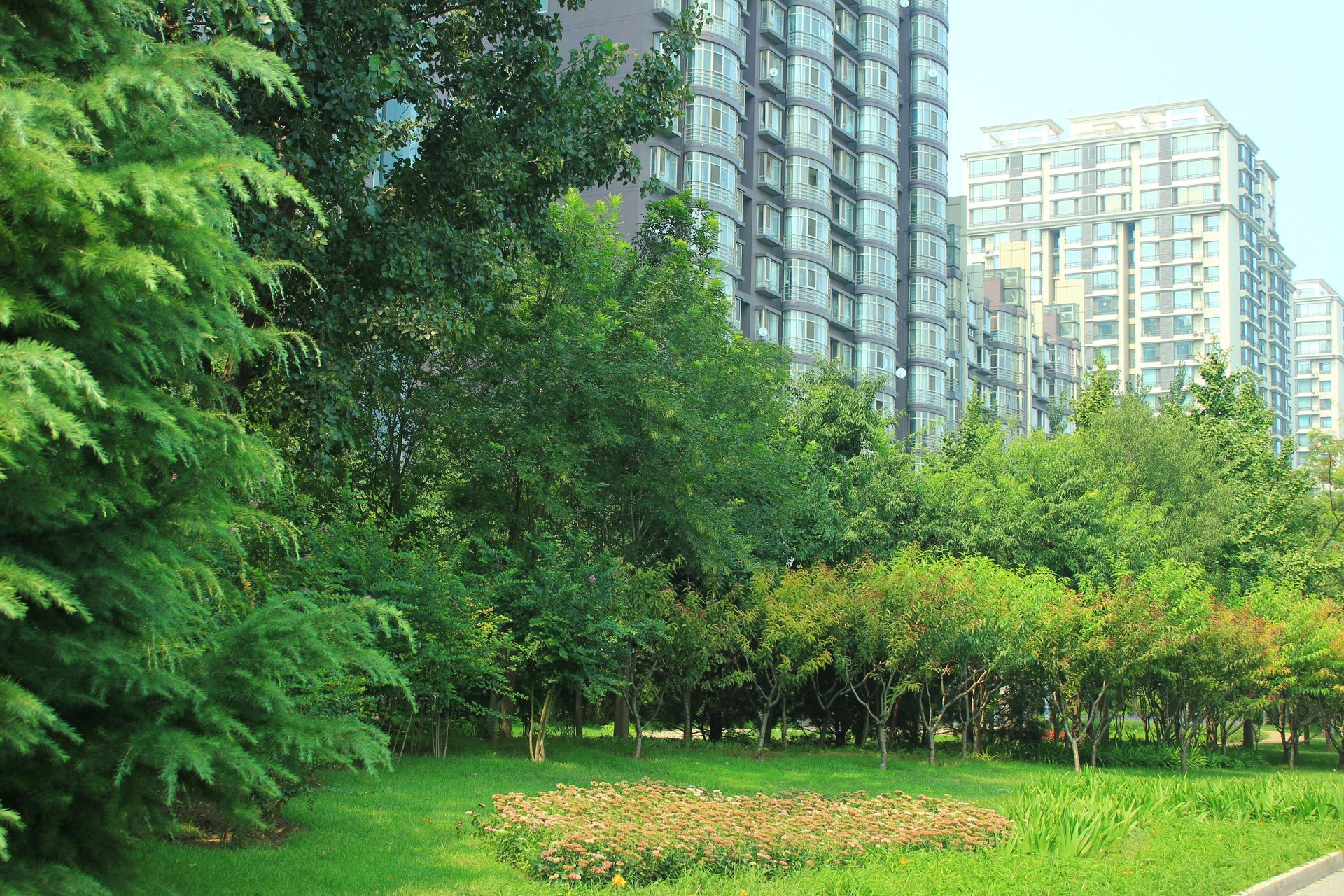 水上华城 environment