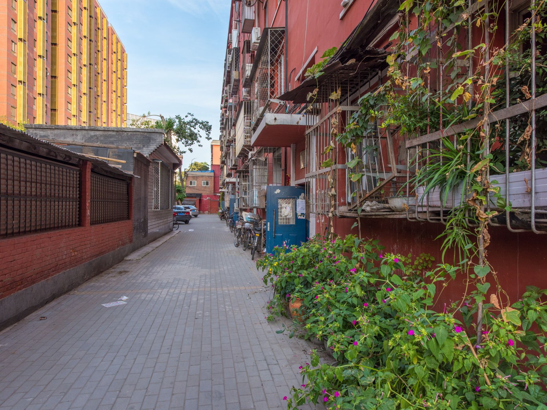 司达小区 environment