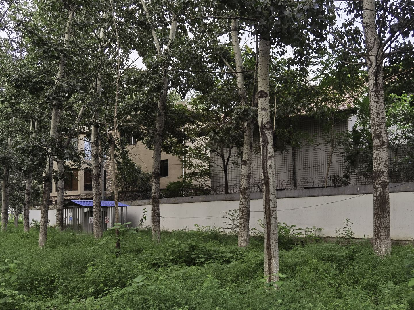 太利花园 environment