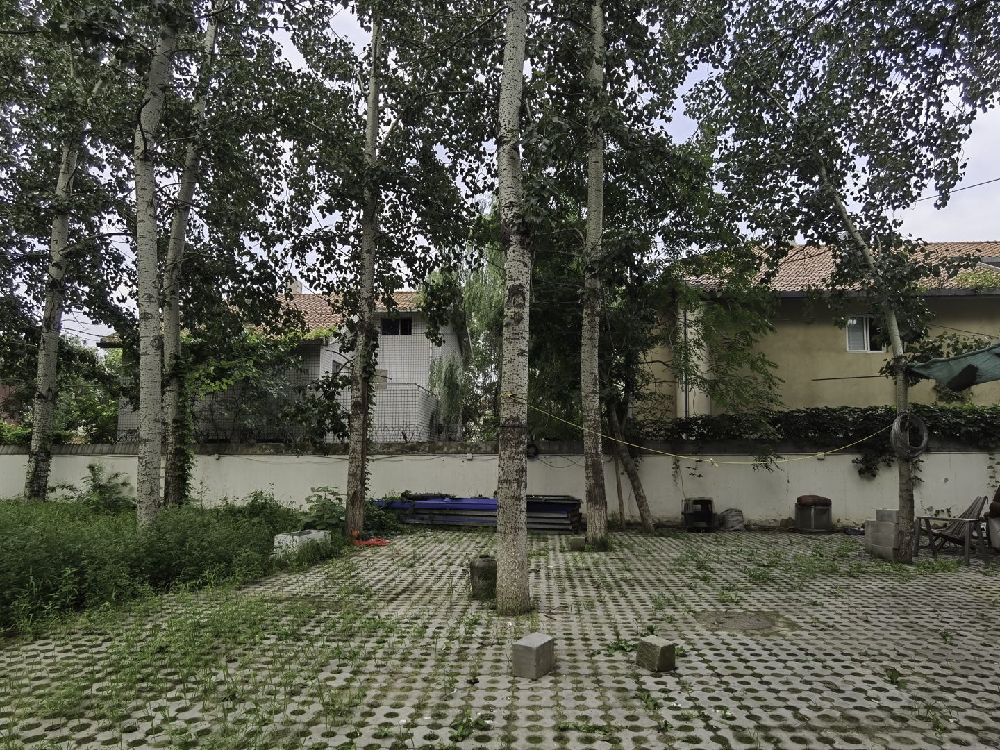 太利花园 environment