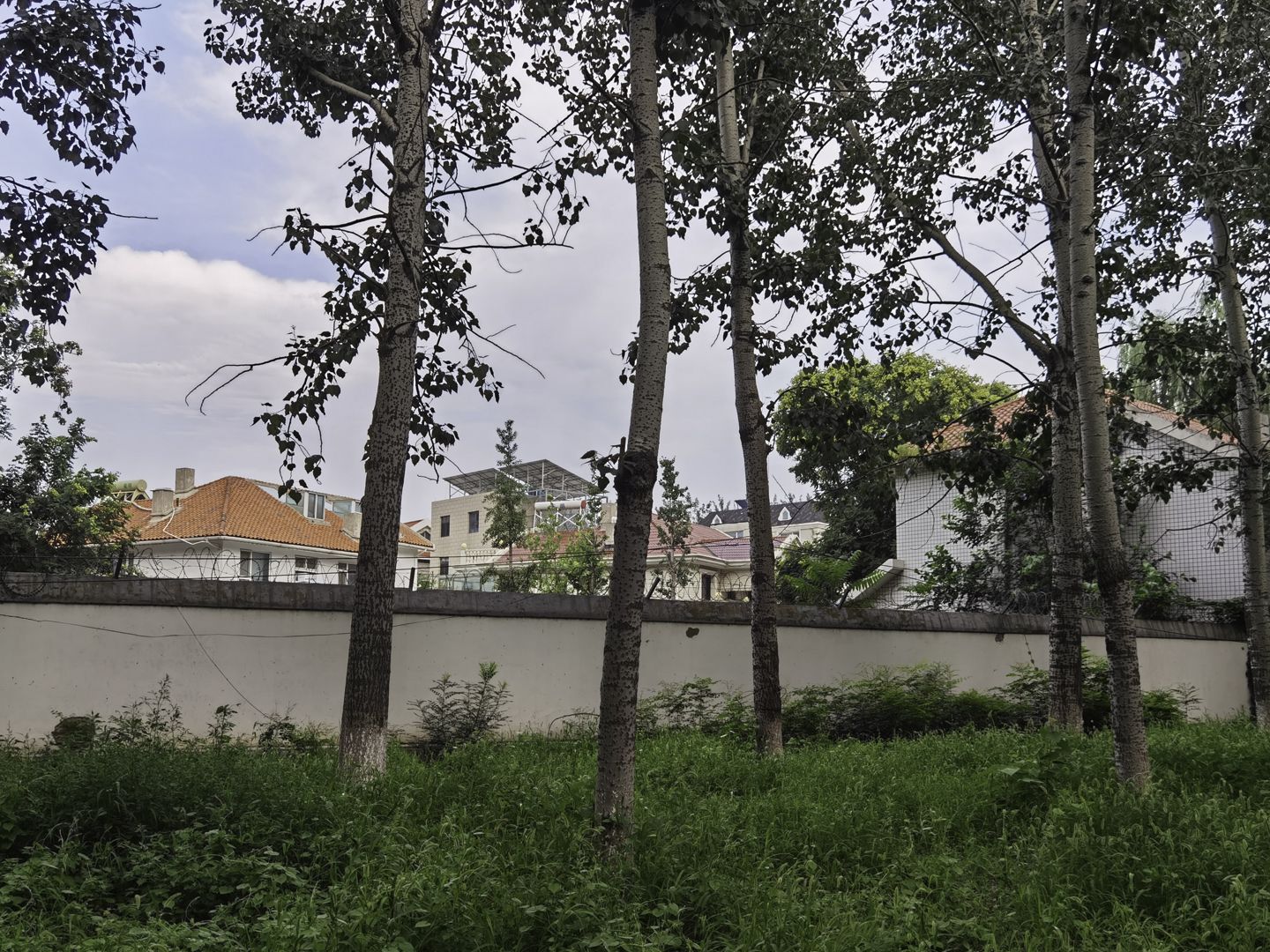 太利花园 environment