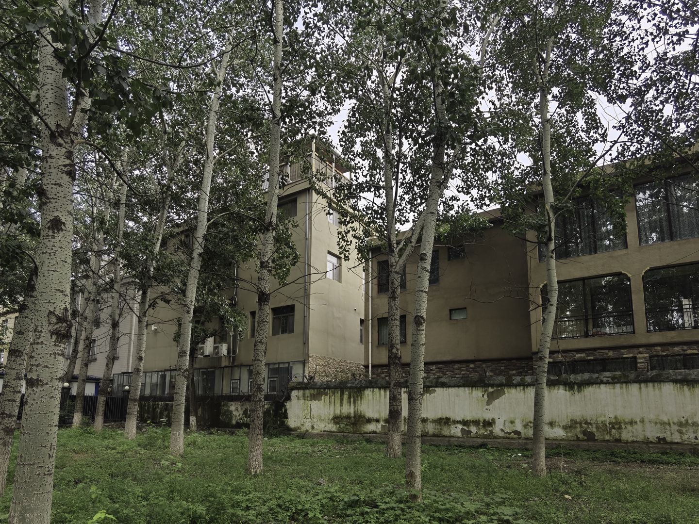 太利花园 environment