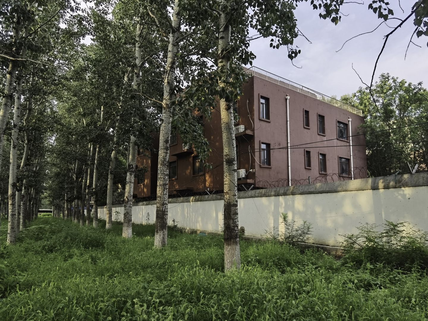 太利花园 environment