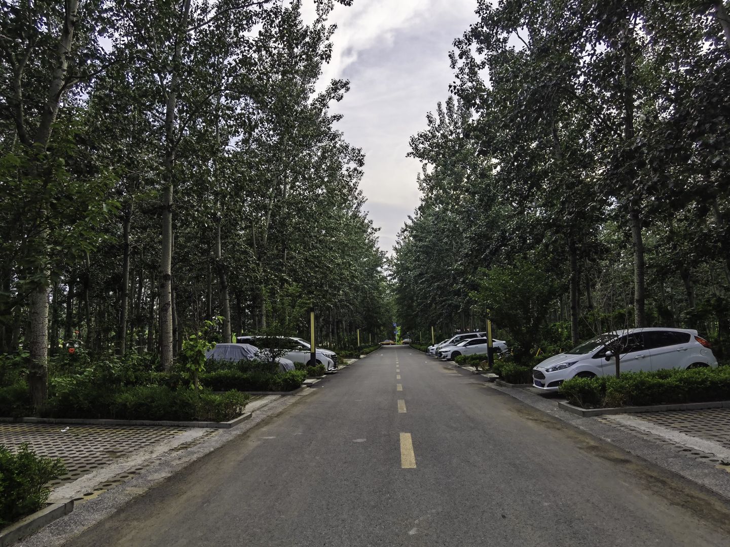 太利花园 environment