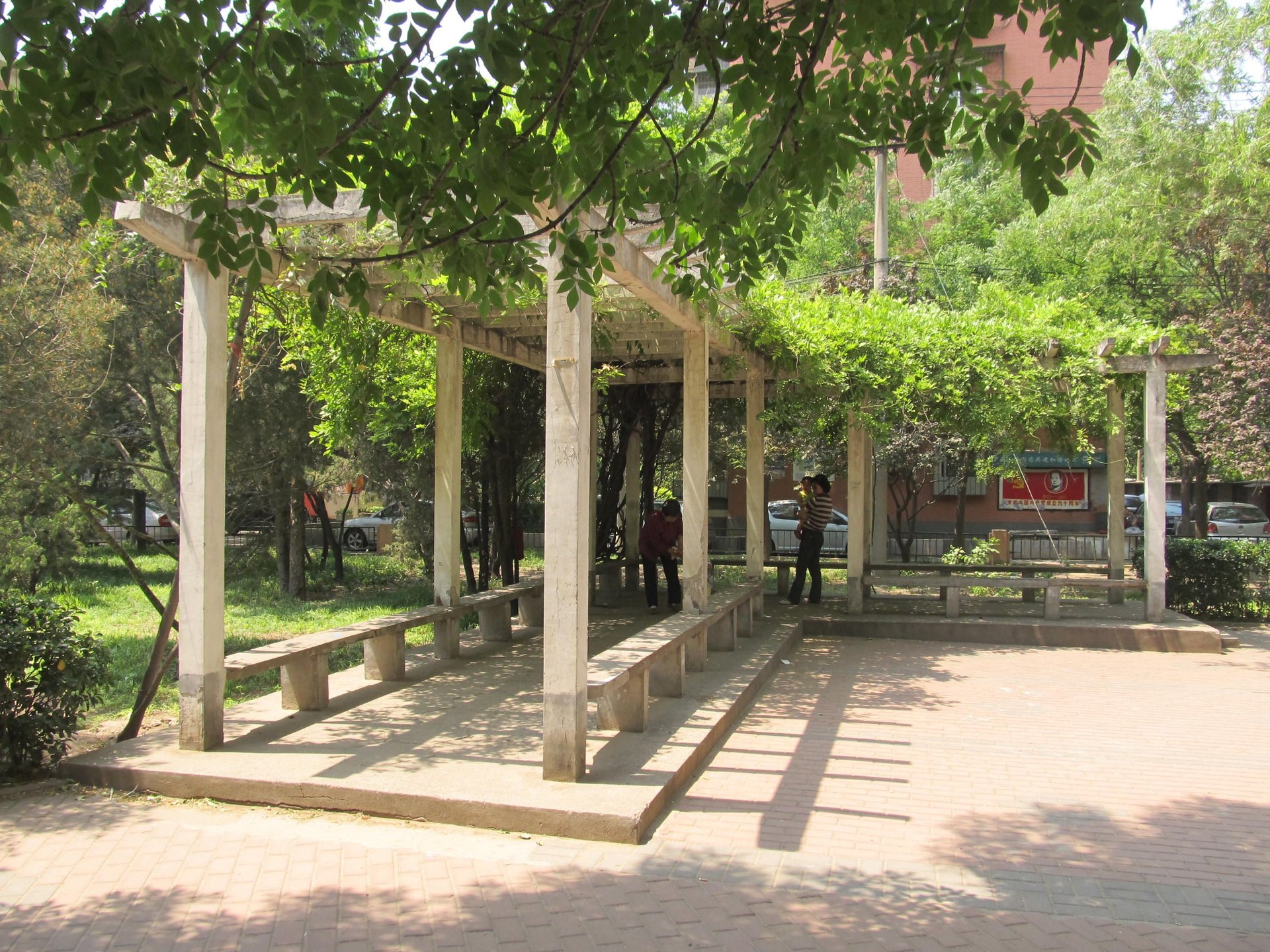 太平桥小区 environment