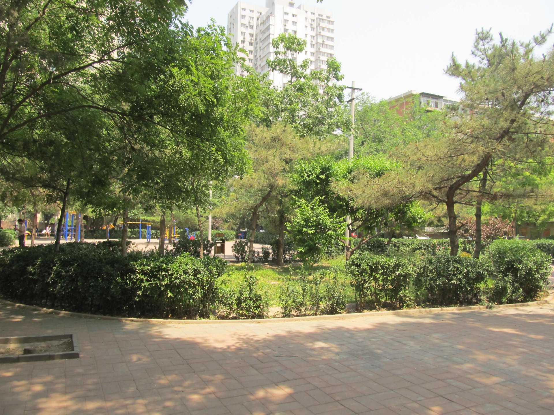 太平桥小区 environment