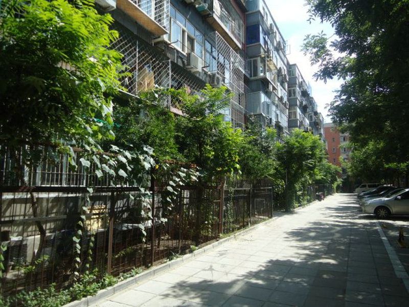 太平桥小区 environment