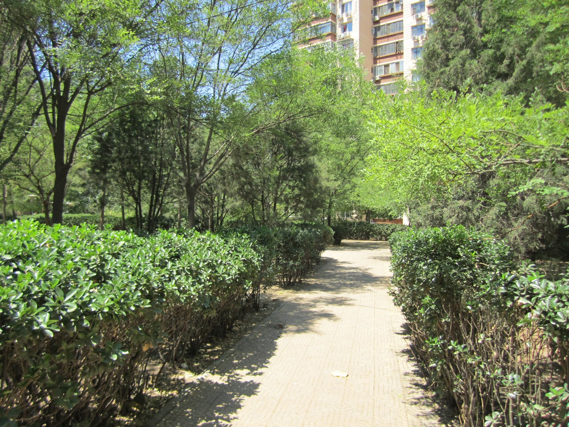 太平桥西里 environment