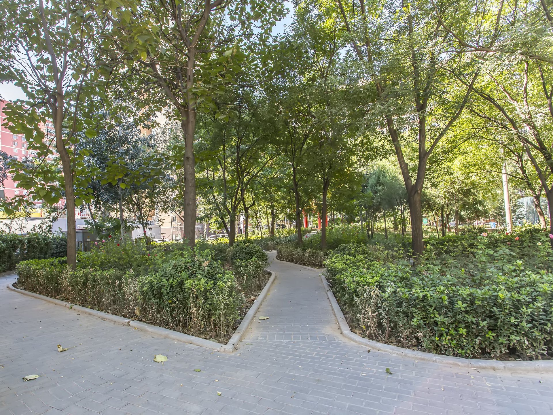 太平桥西里 environment