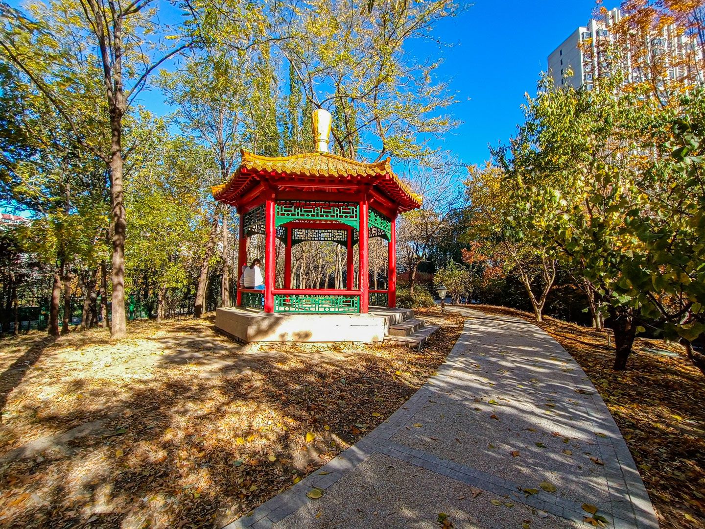 太阳公元北区 environment