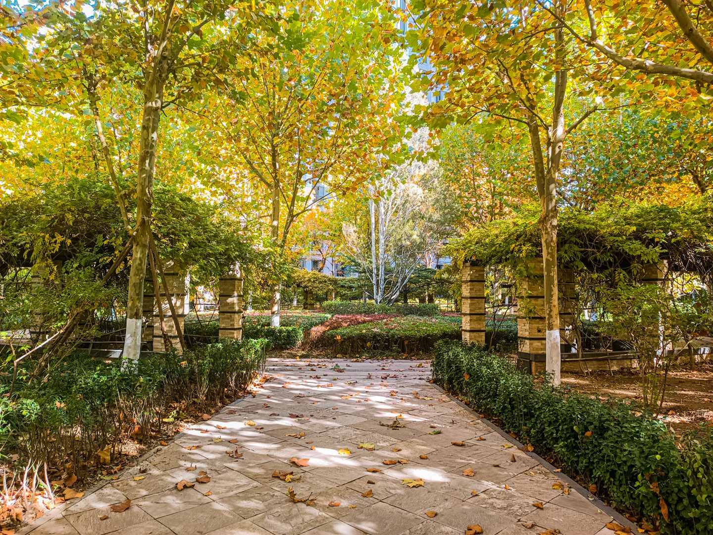 太阳公元北区 environment