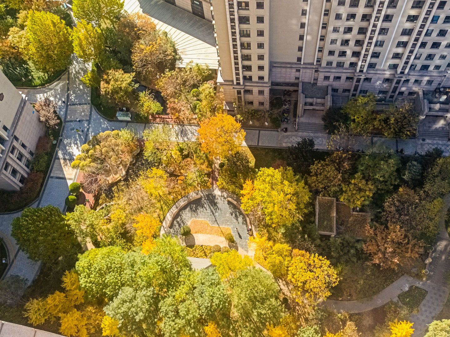 太阳公元北区 environment