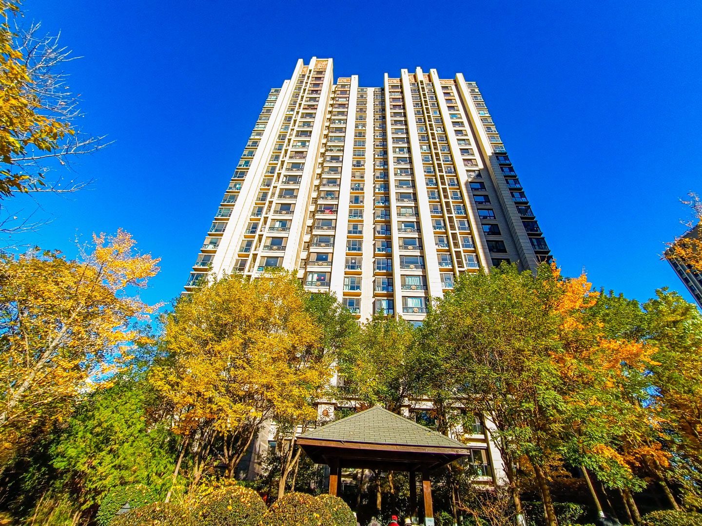 太阳公元北区 environment