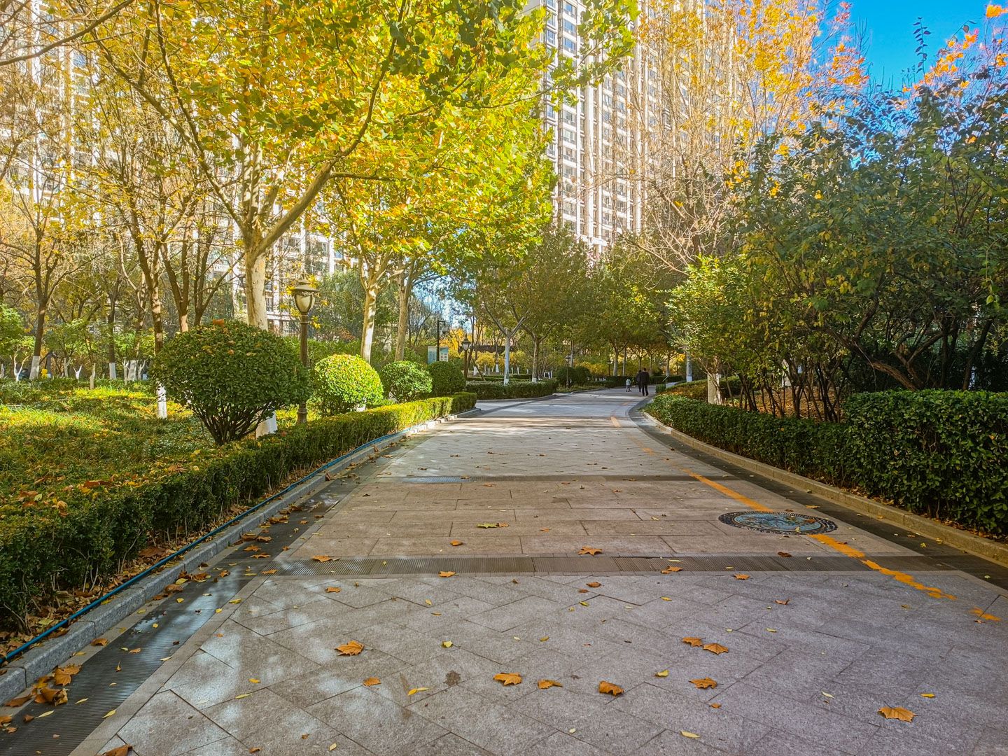 太阳公元北区 environment