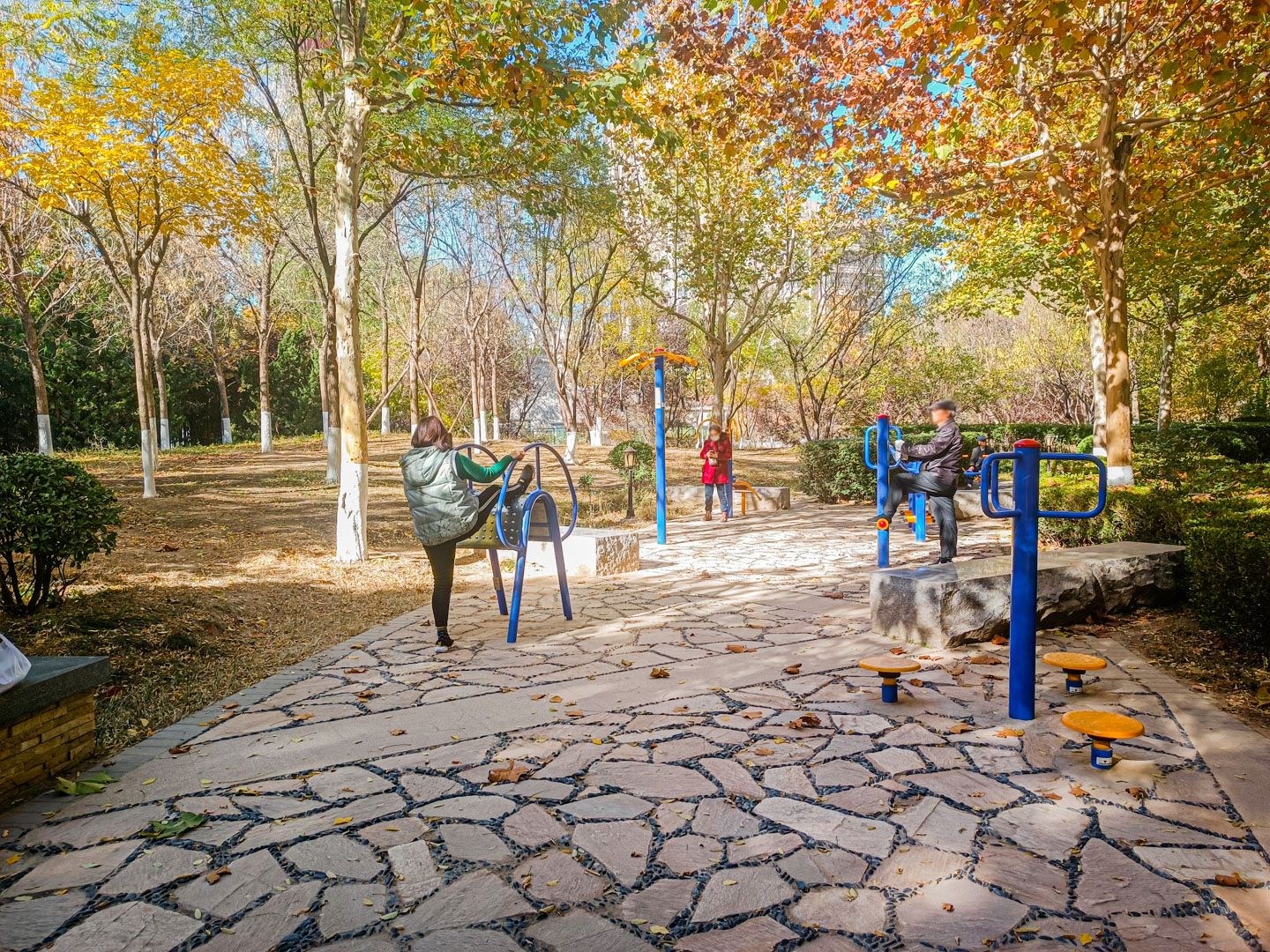 太阳公元北区 environment