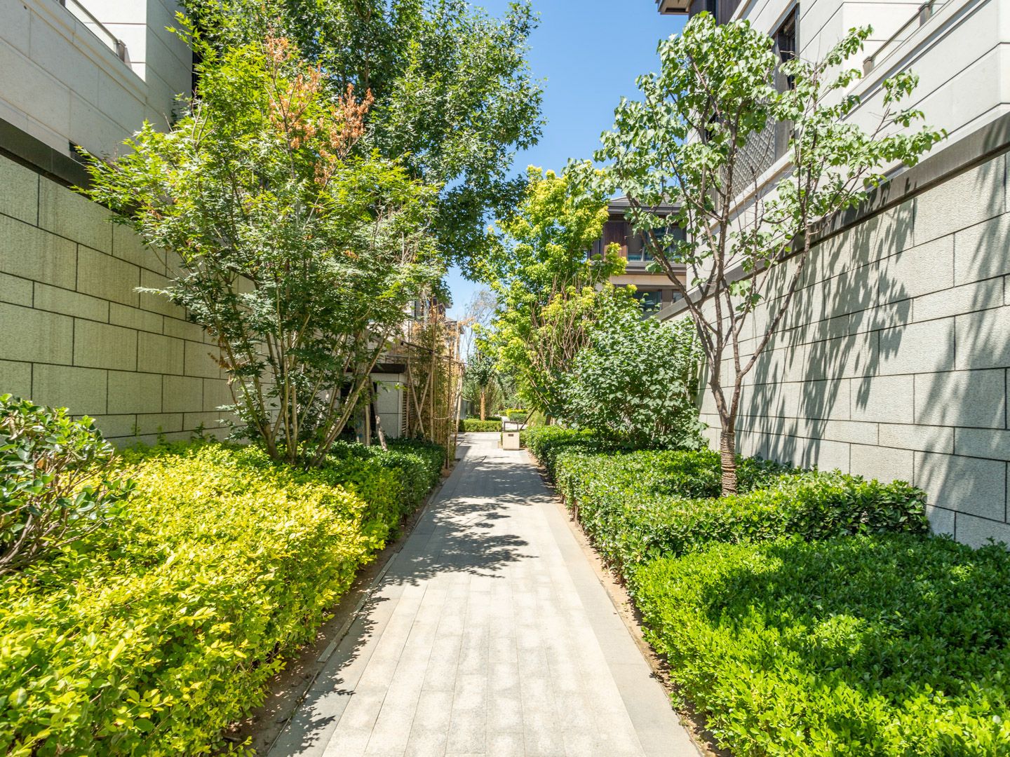 棠颂别墅 environment