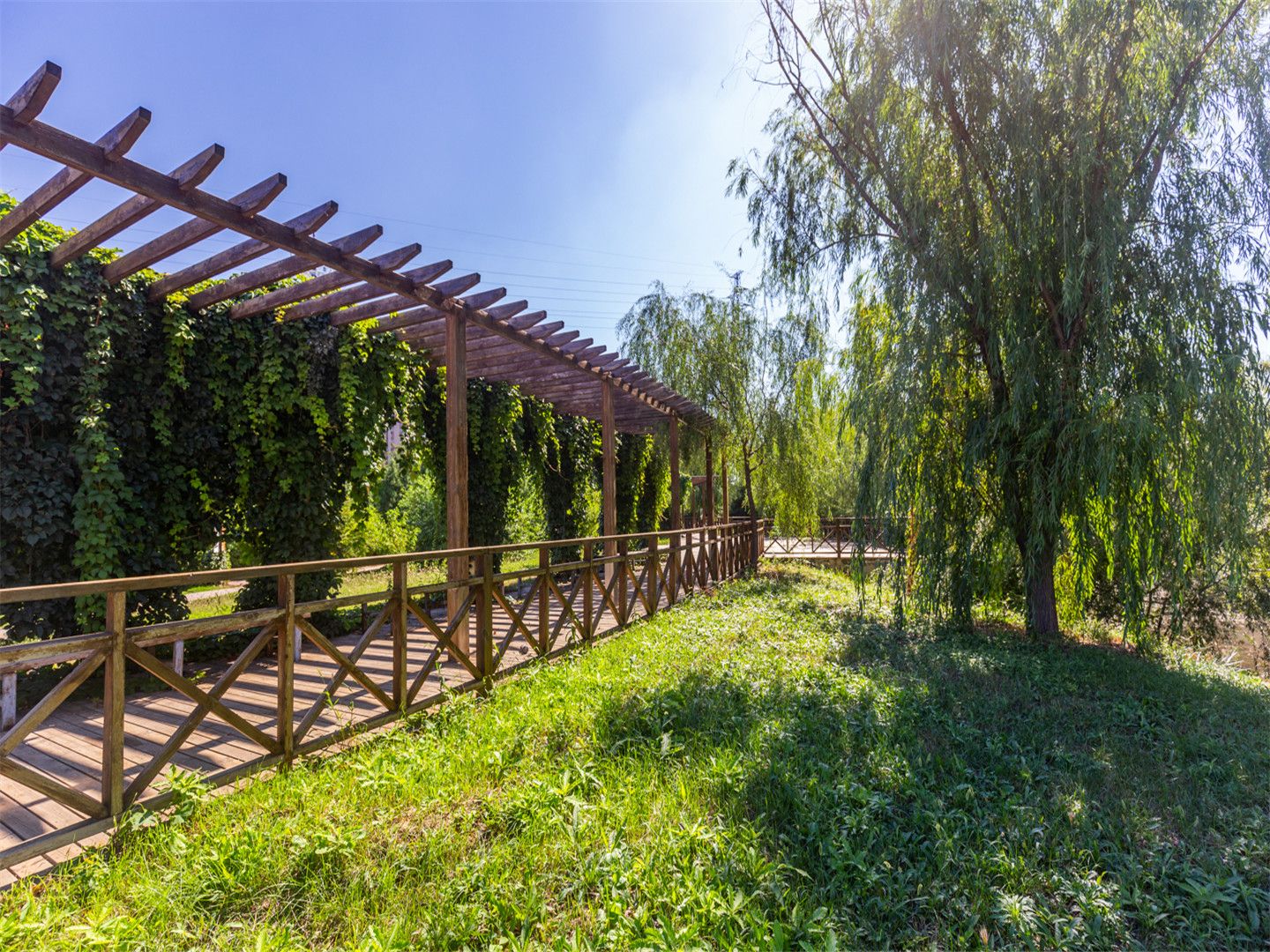 天鹅堡 environment