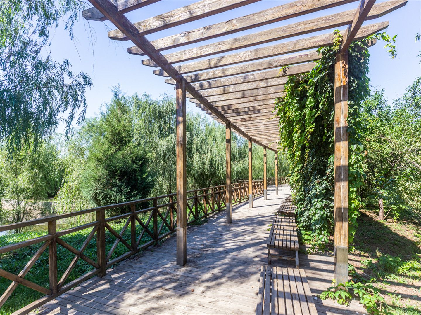 天鹅堡 environment