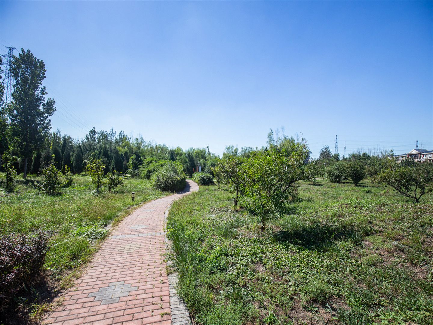 天鹅堡 environment