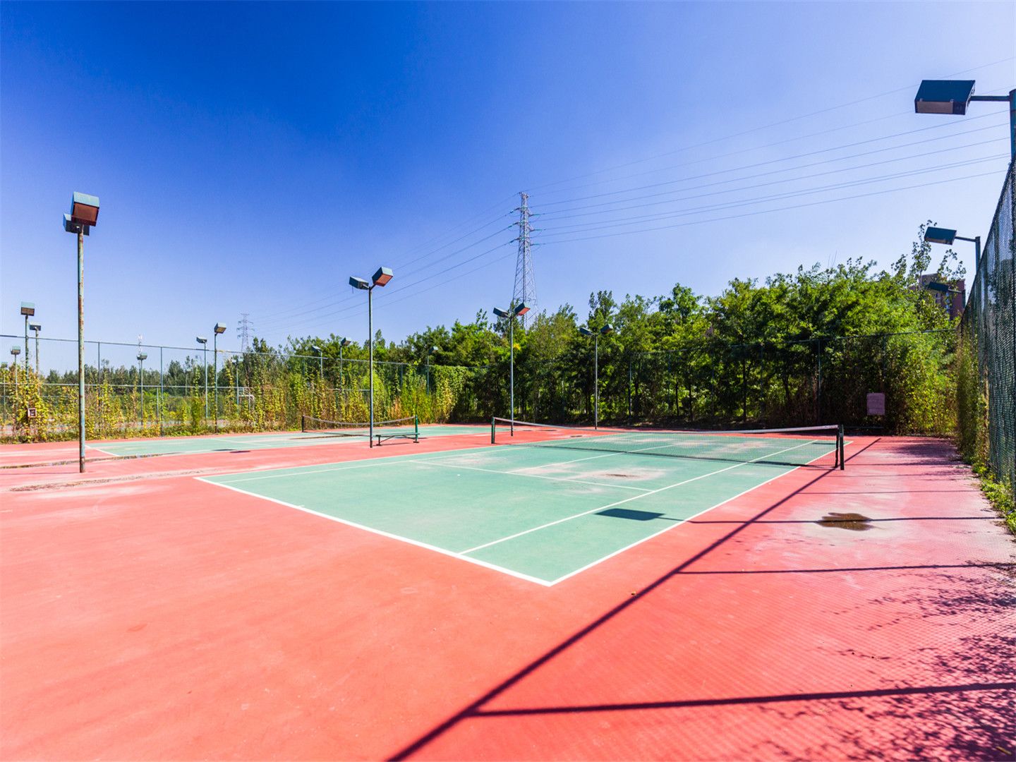 天鹅堡 environment