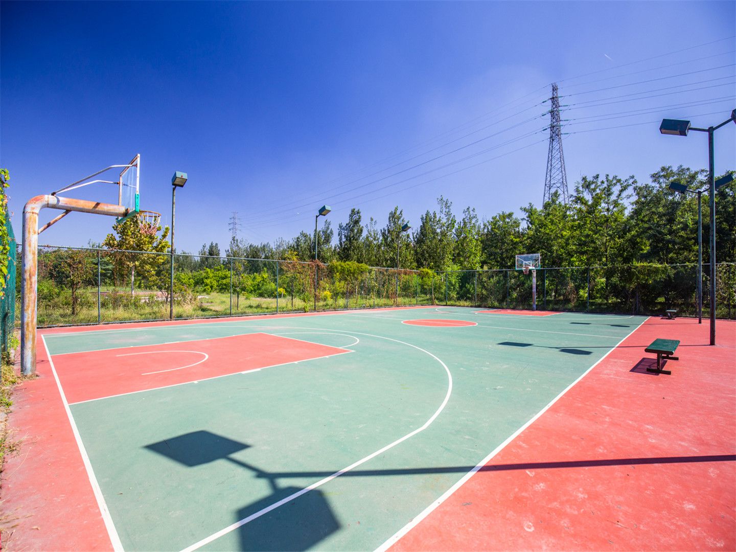 天鹅堡 environment