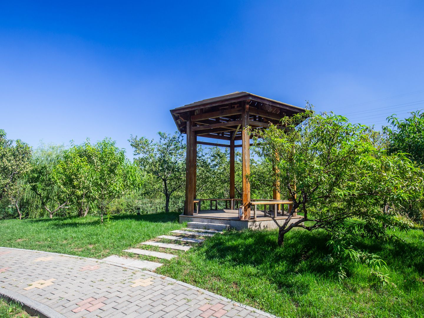 天鹅堡 environment