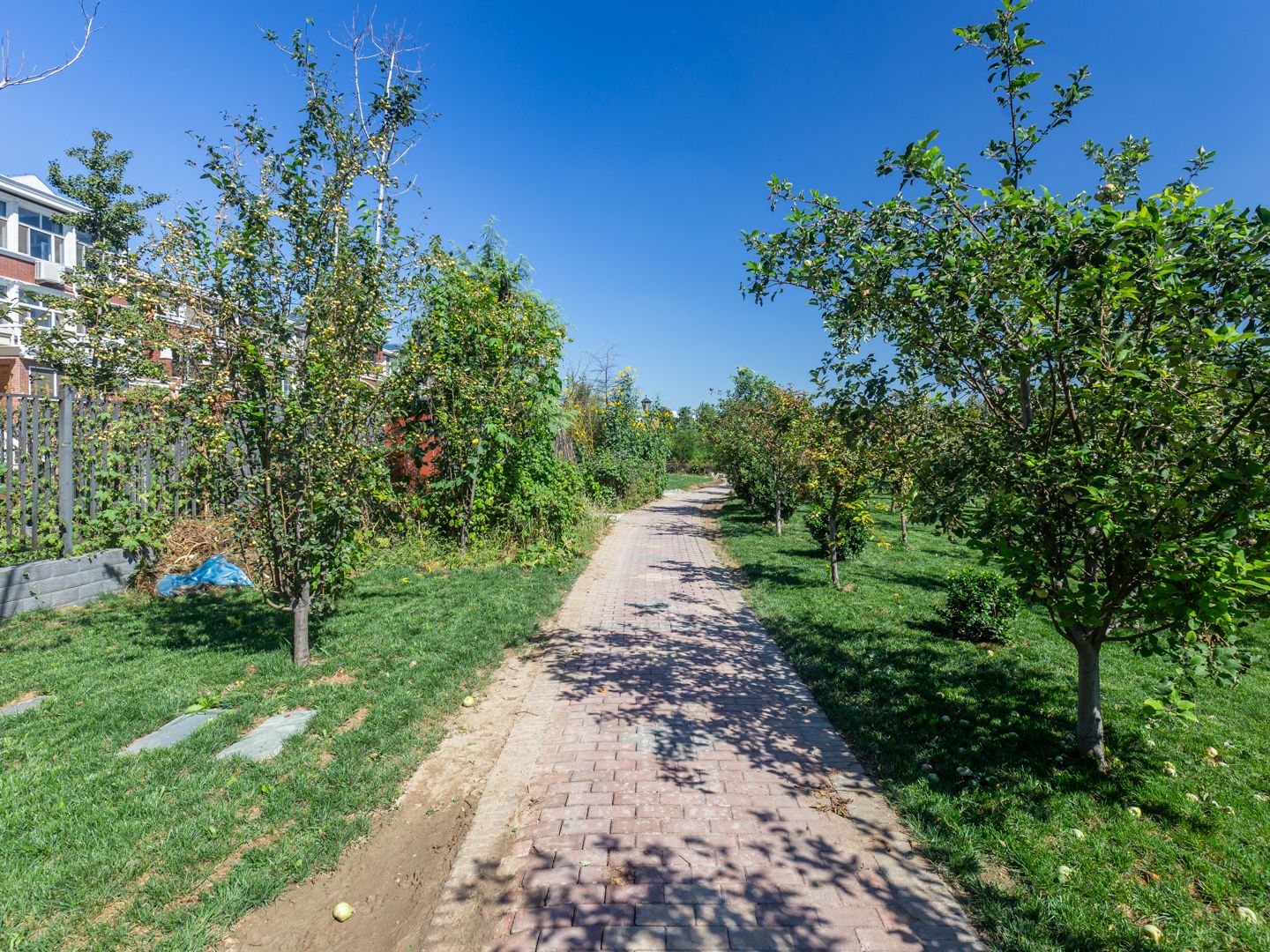 天鹅堡 environment