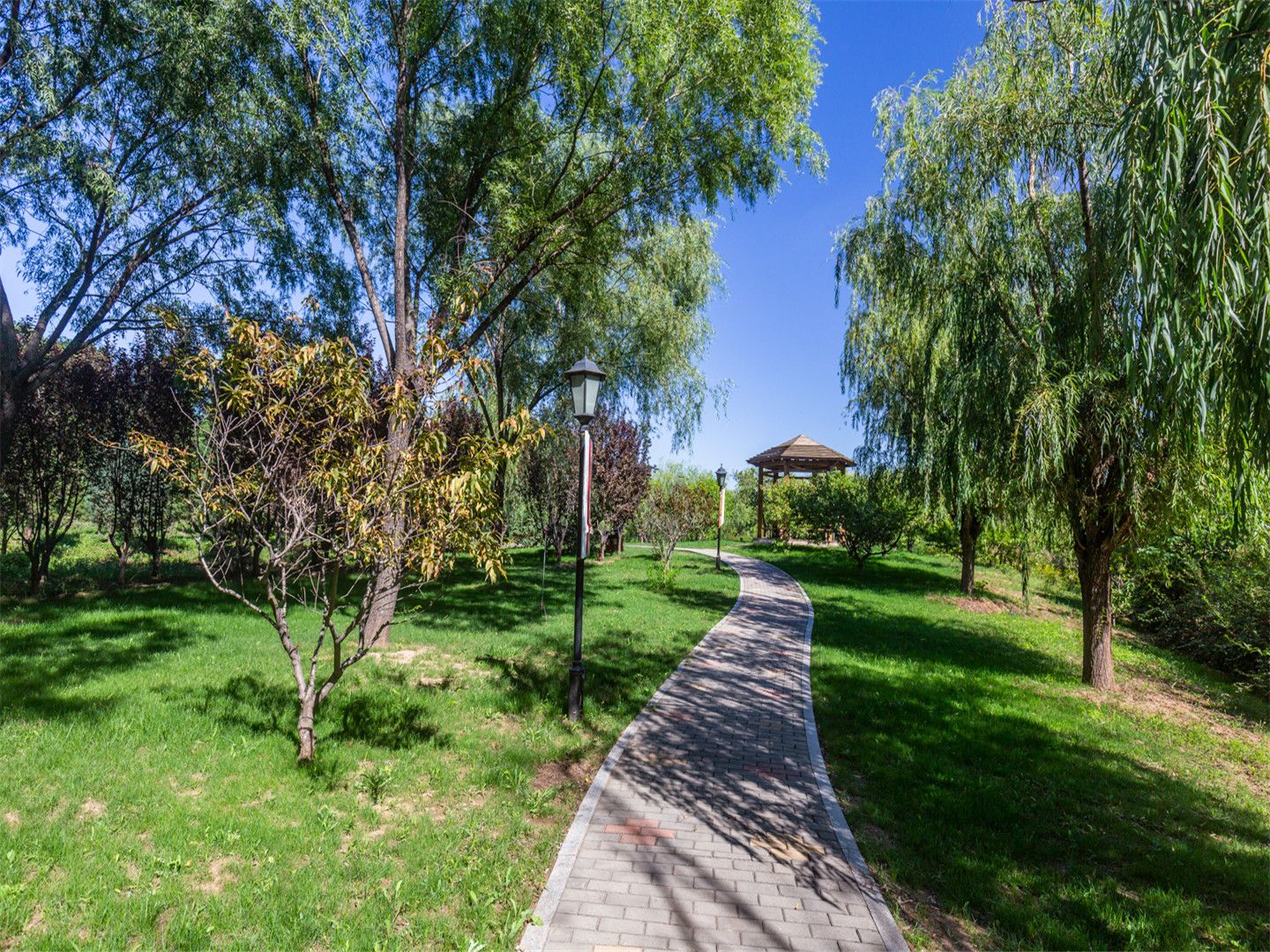 天鹅堡 environment