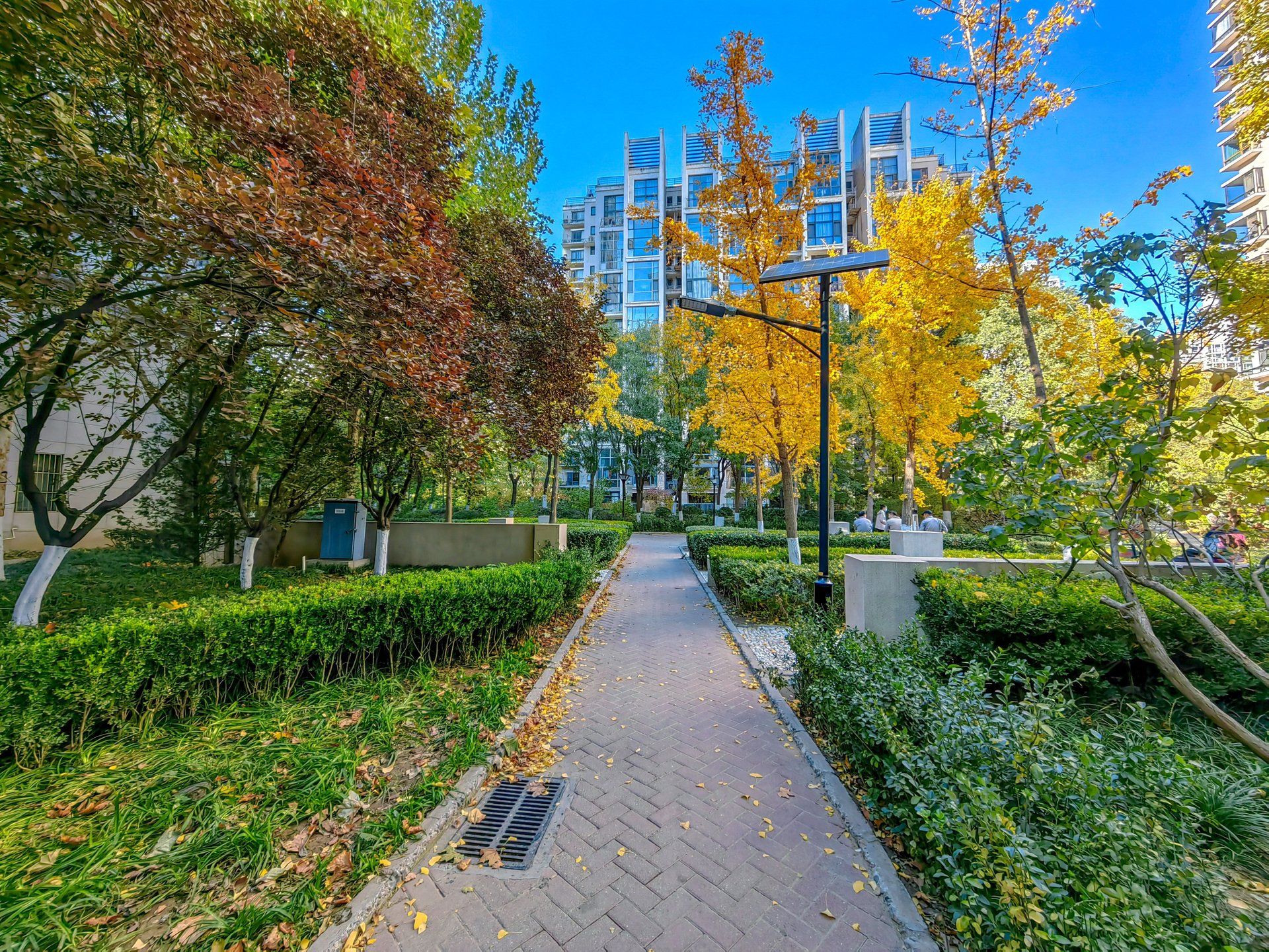 天鹅湾北区 environment