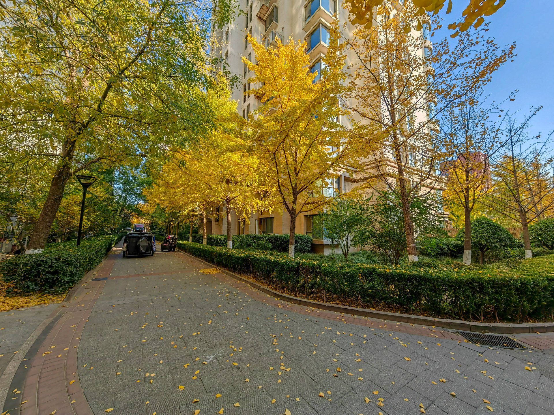 天鹅湾南区 environment