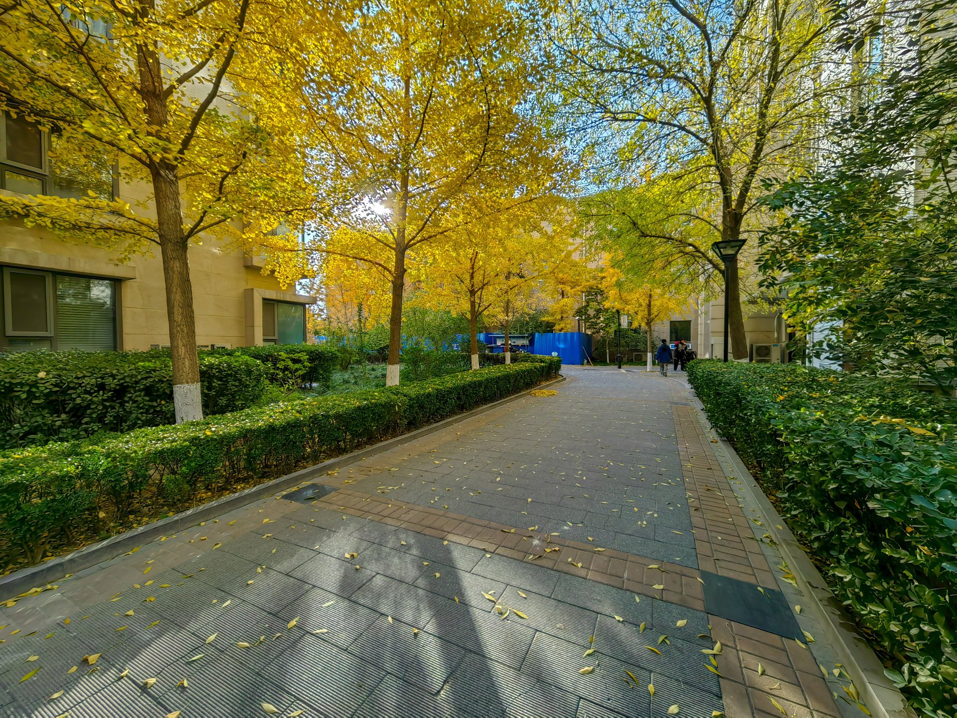 天鹅湾南区 environment