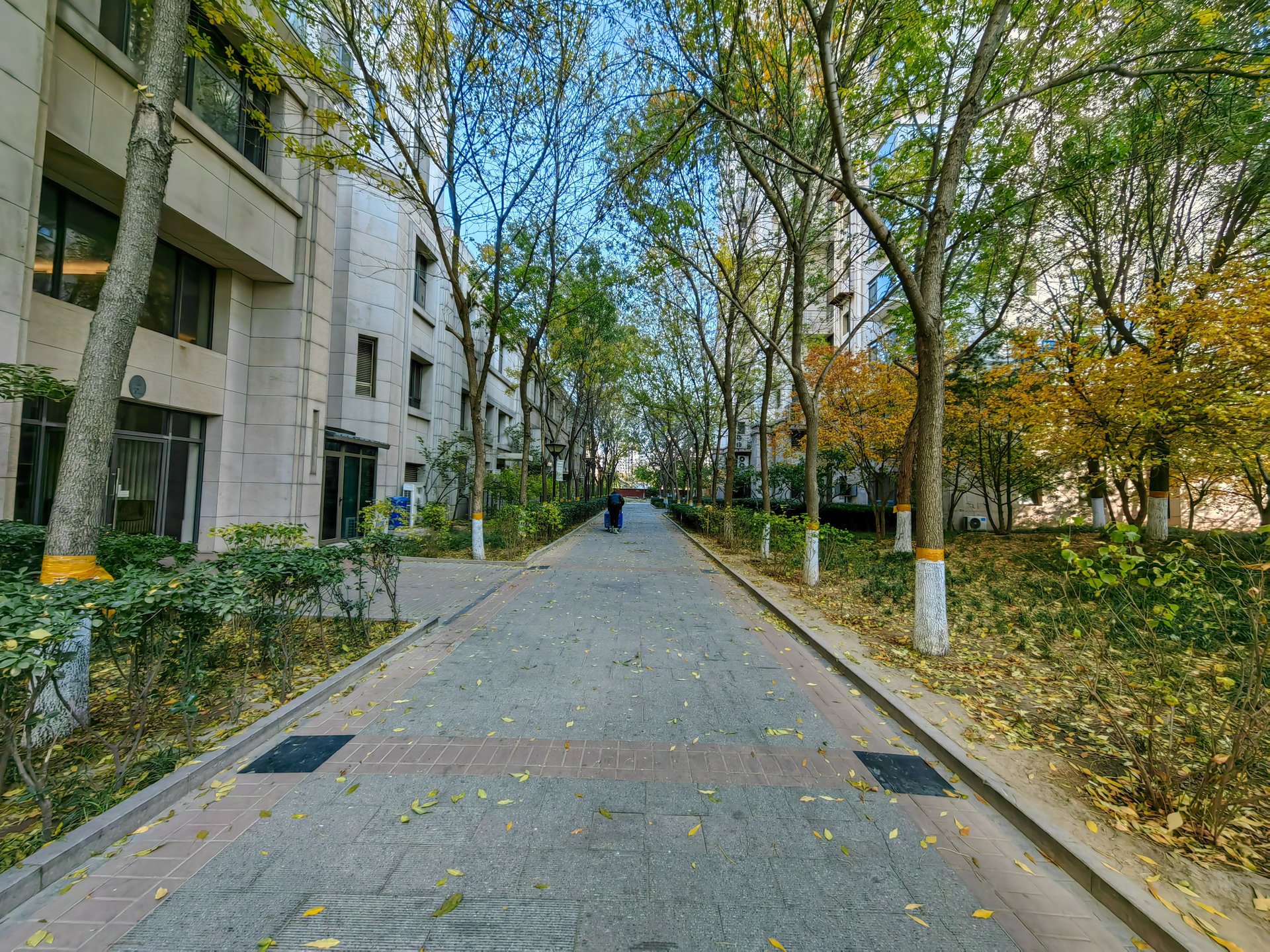 天鹅湾南区 environment