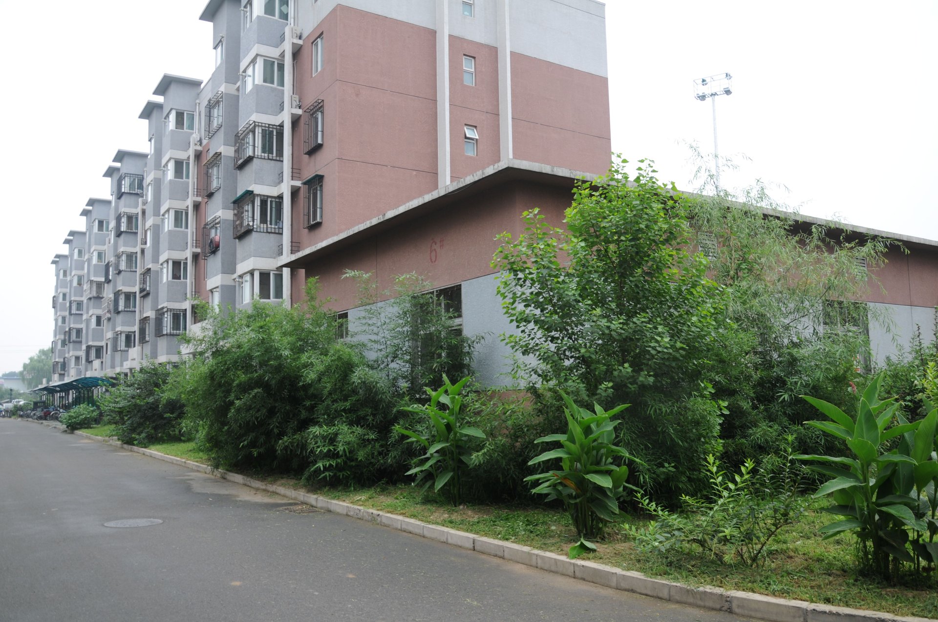 天露园二区 environment