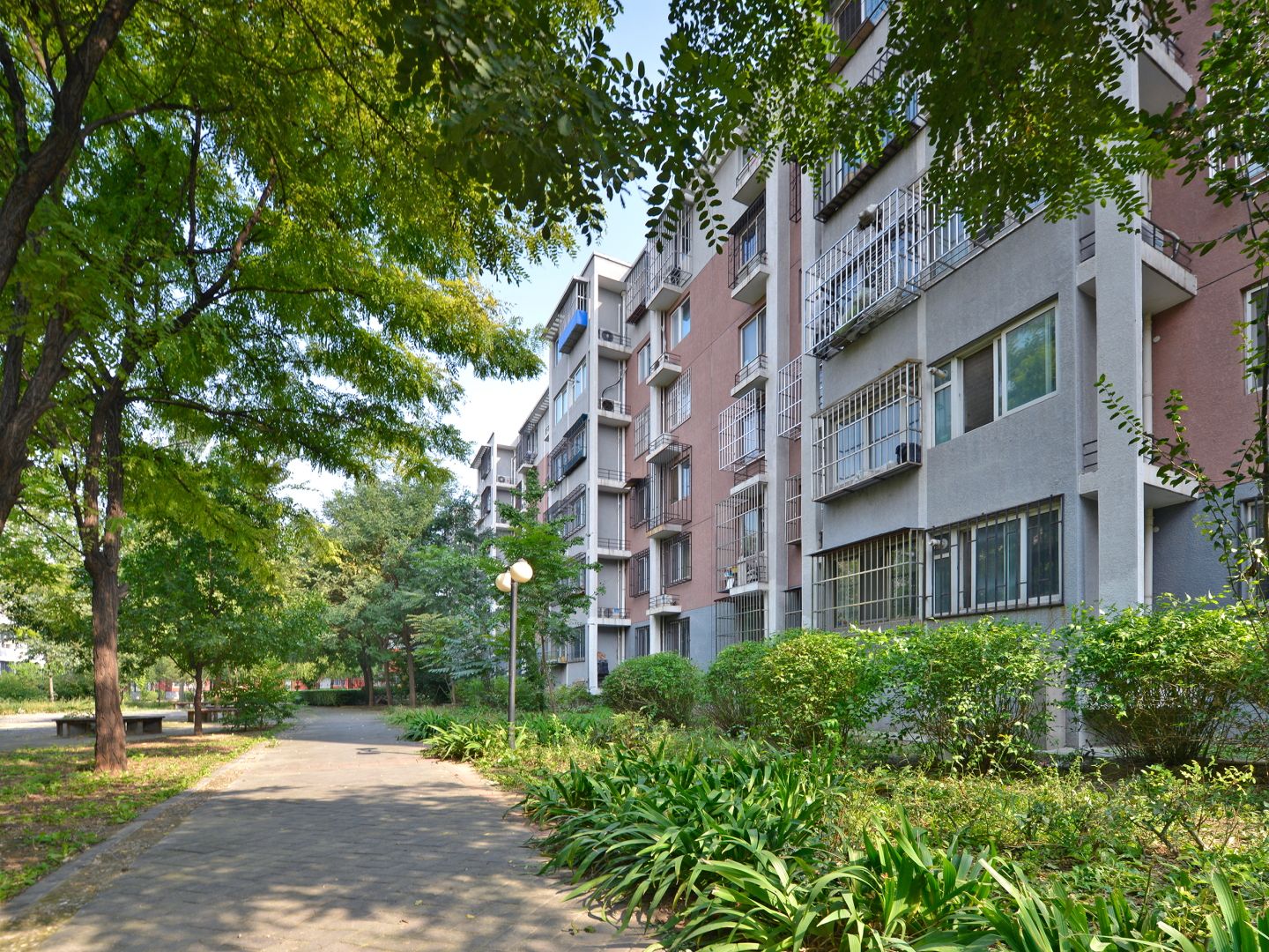 天露园二区 environment