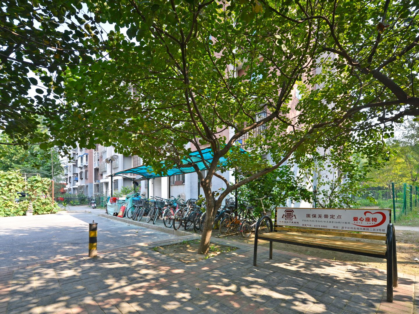 天露园二区 environment