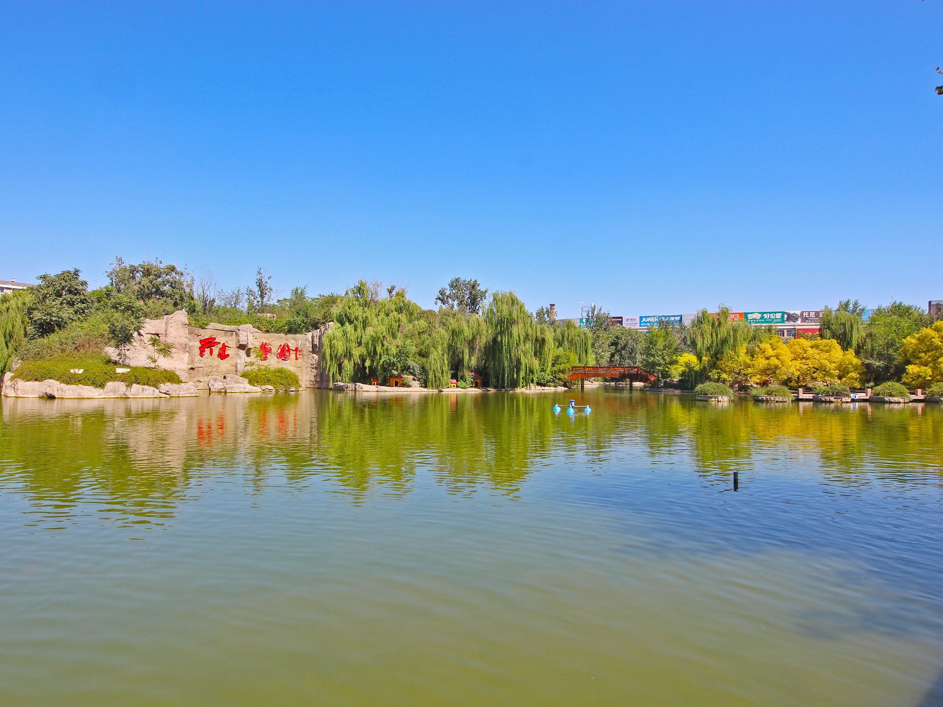 天通公园里 environment