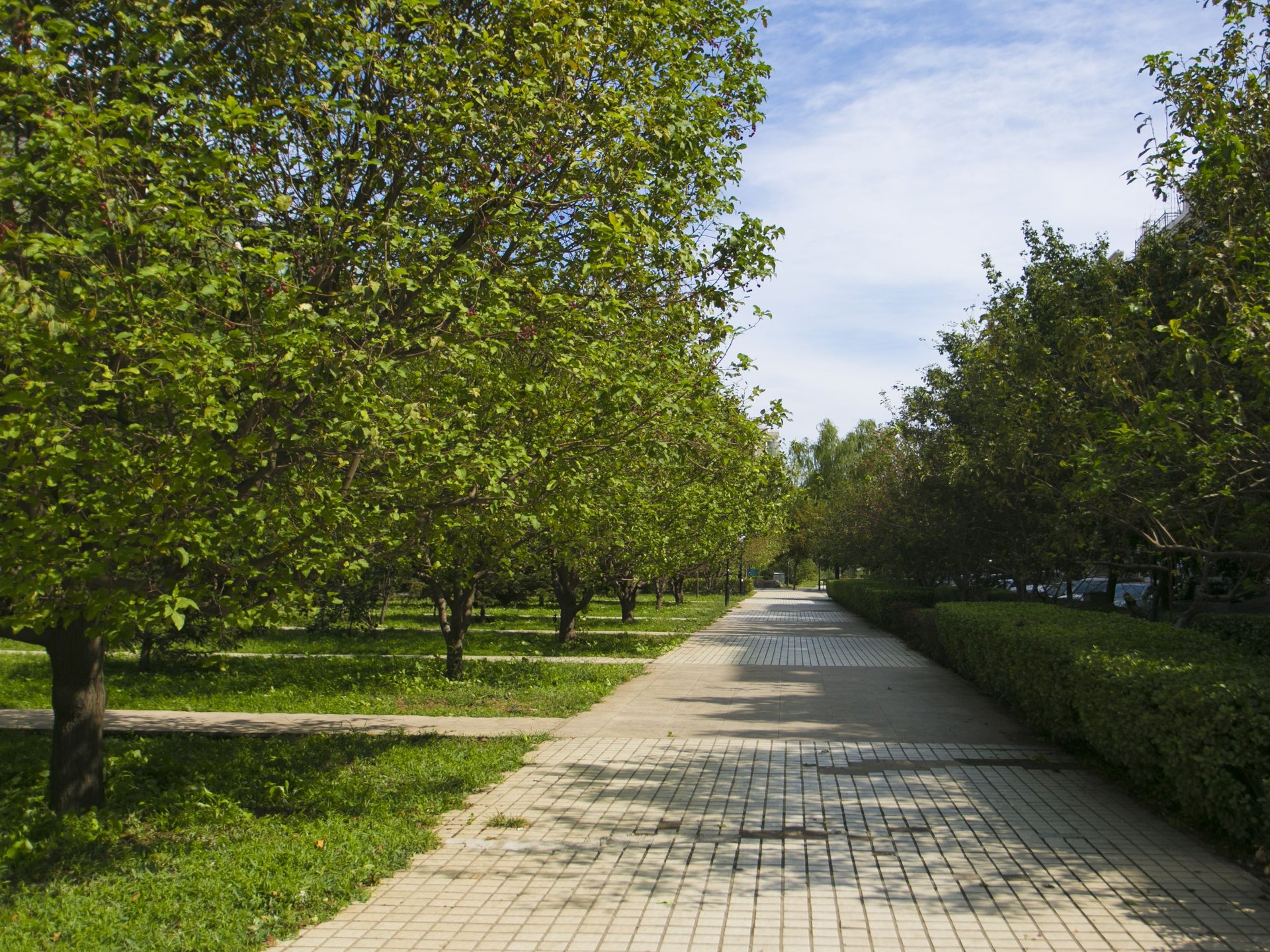 天通苑北二区 environment