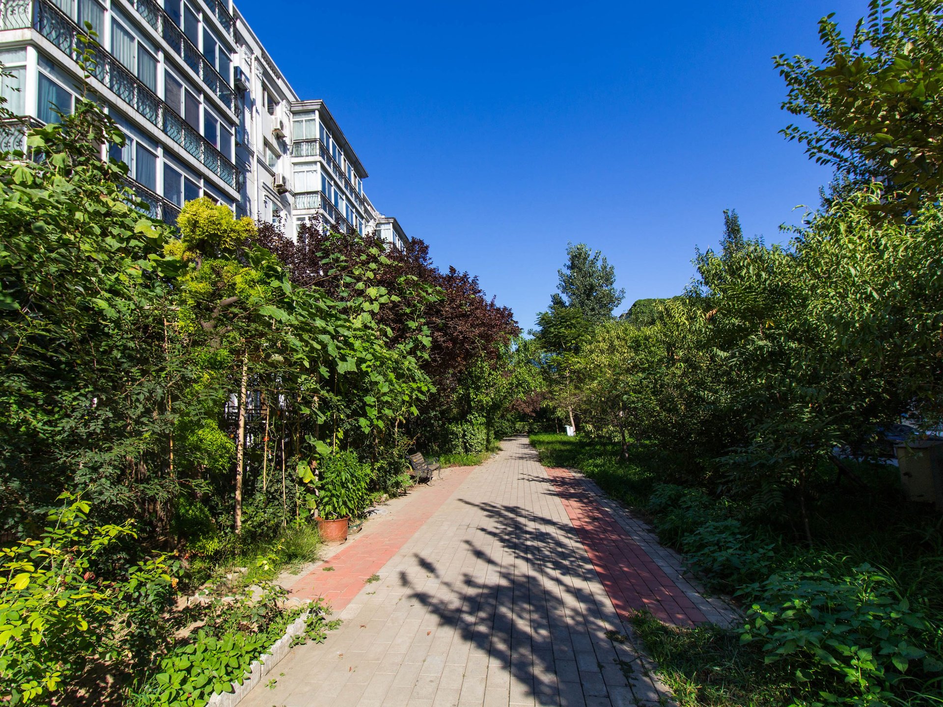 天通苑一区 environment