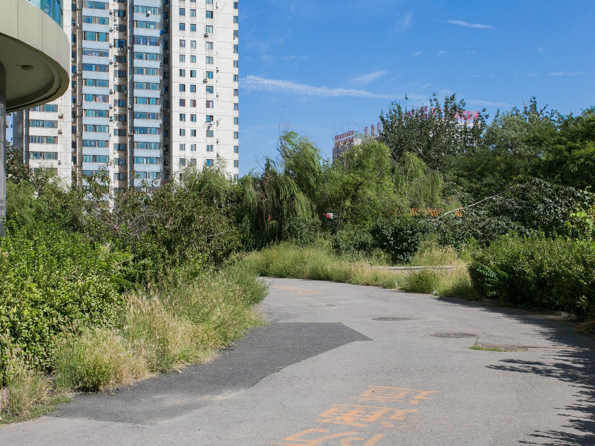 天下儒寓 environment