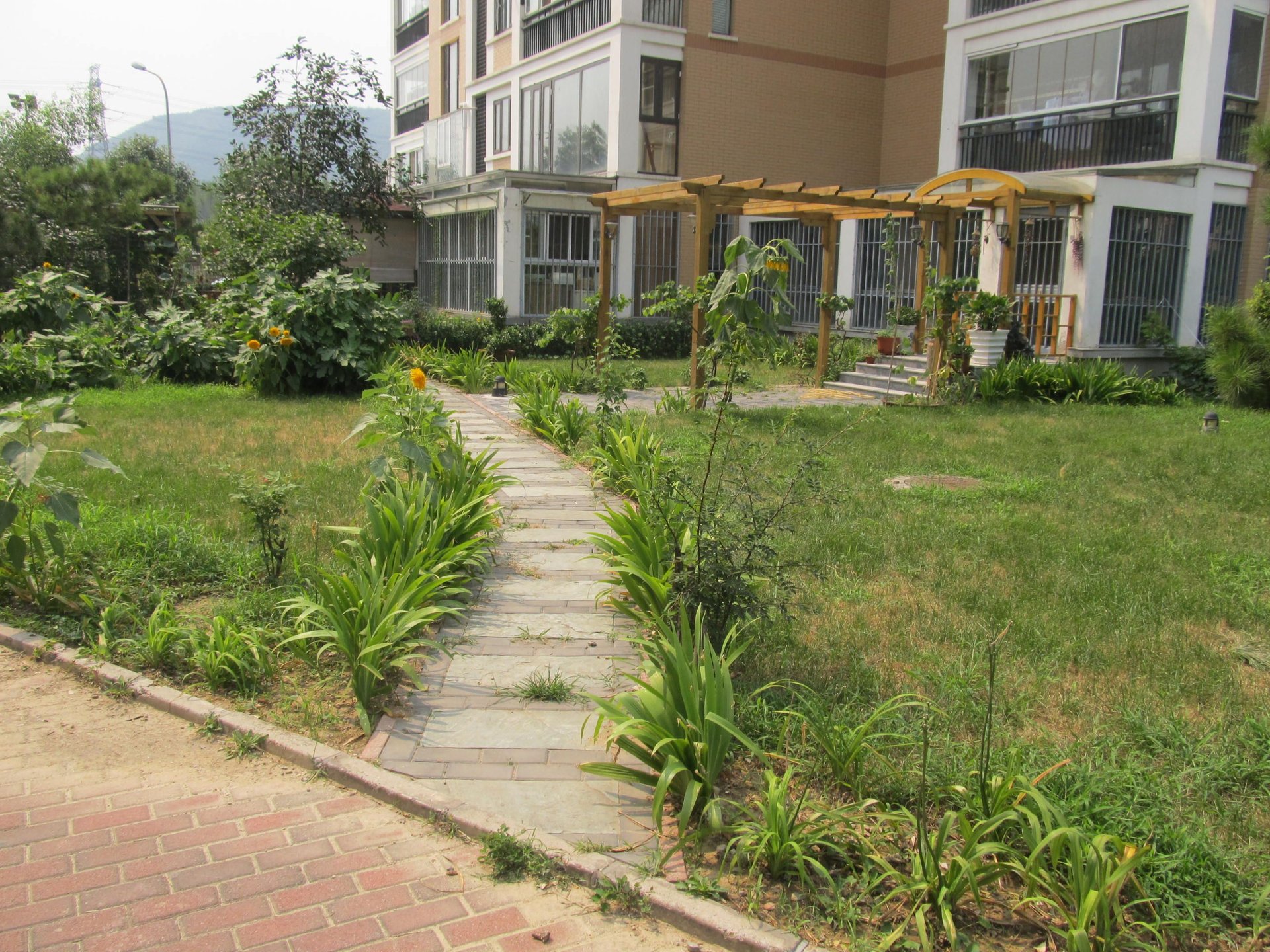 天秀花园古月园 environment