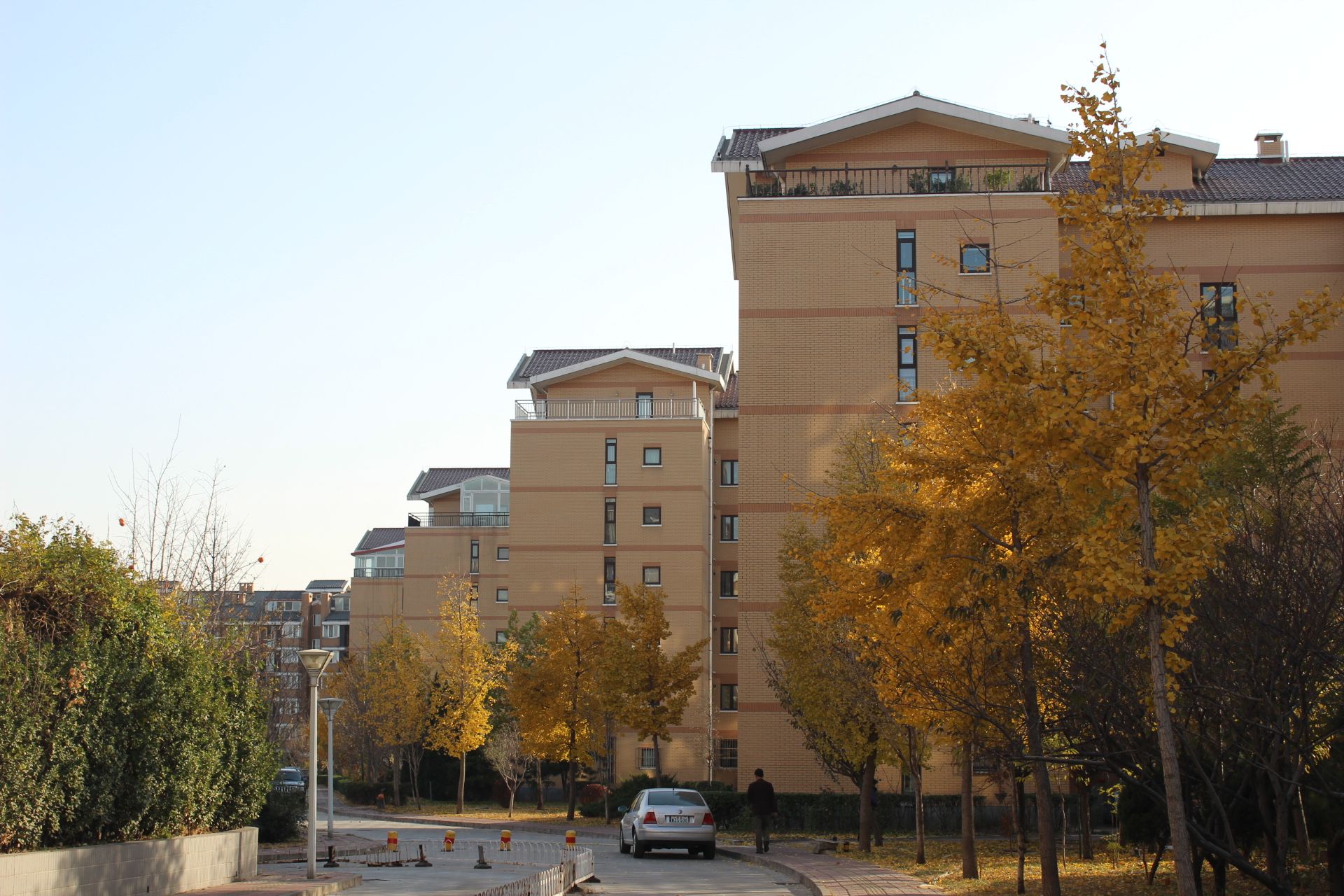 天秀花园古月园 environment