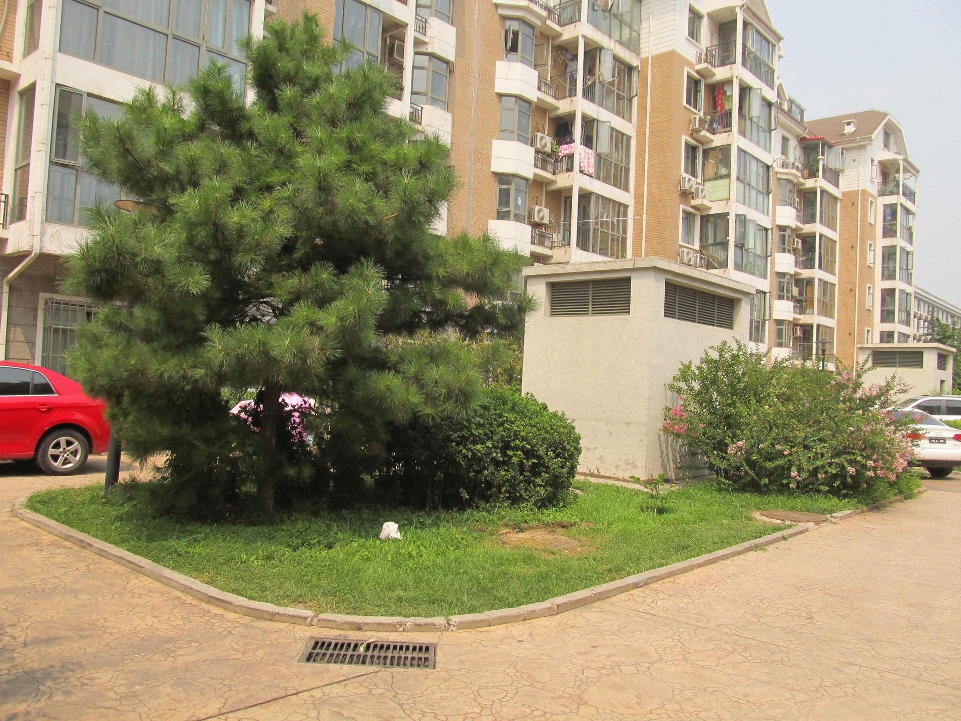 天秀花园荷塘月舍 environment