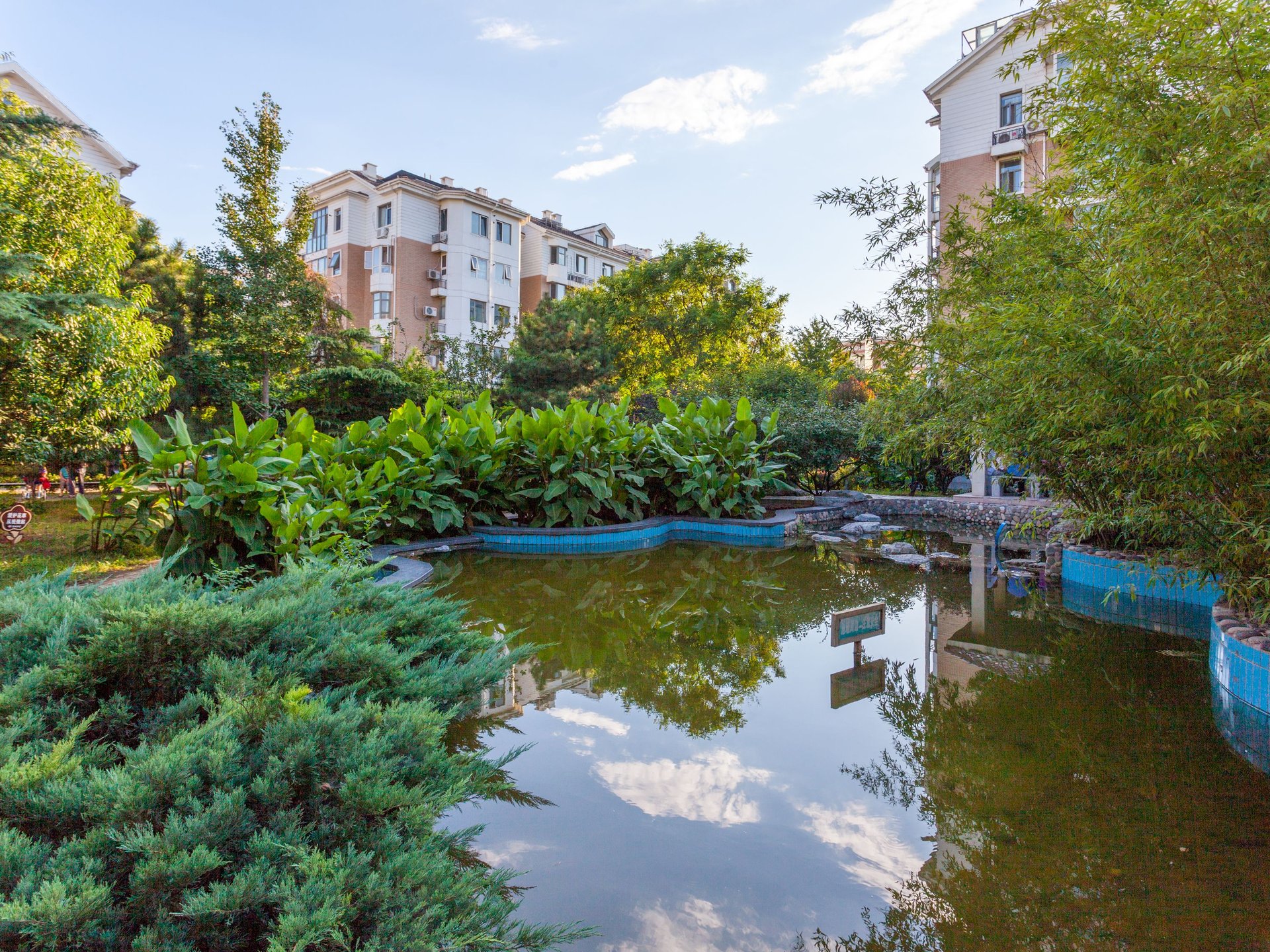 天秀花园荷塘月舍 environment