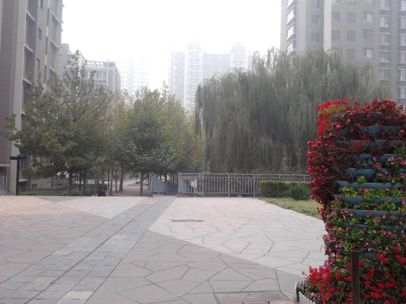 天月园 environment