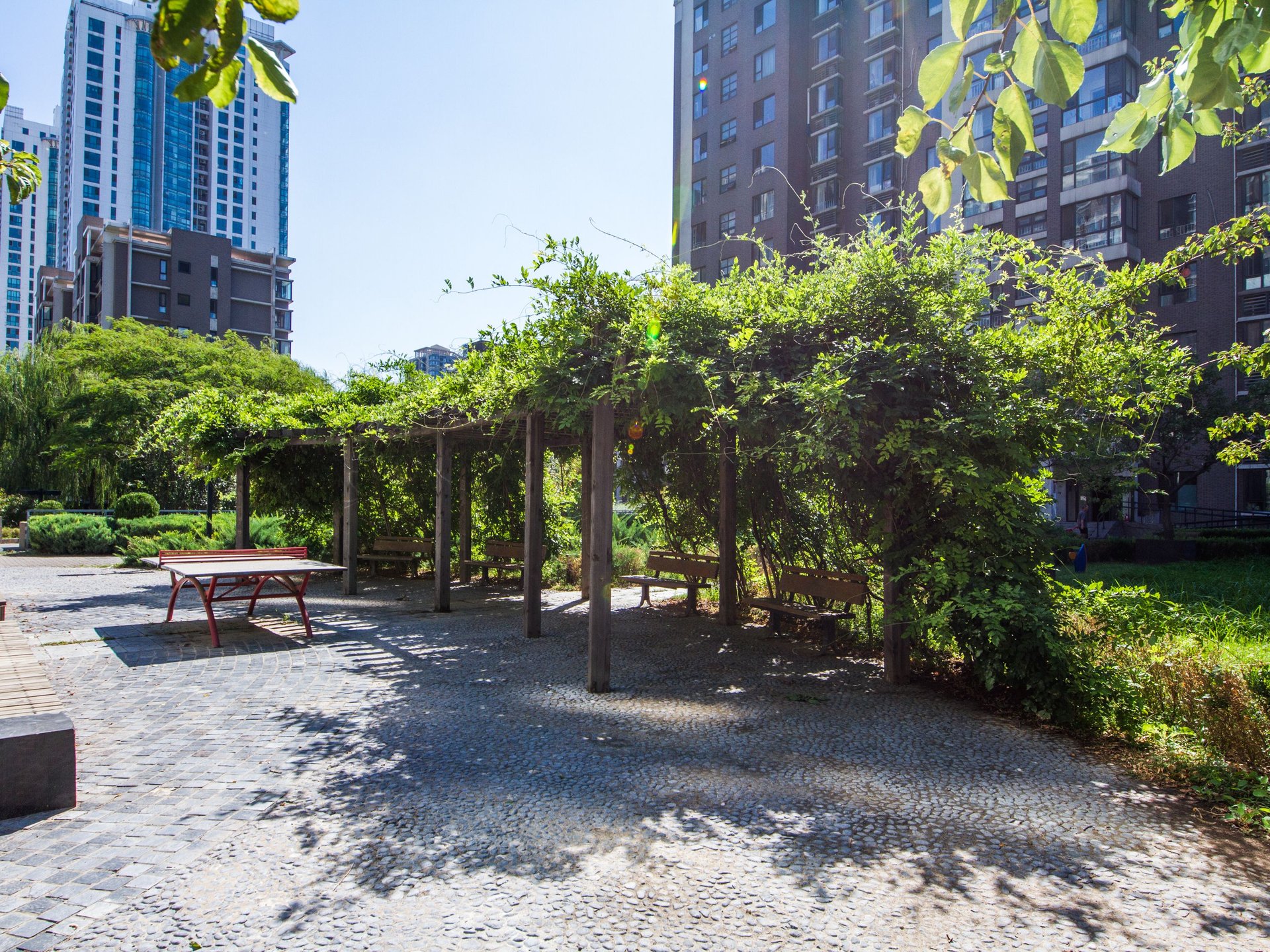 天月园 environment