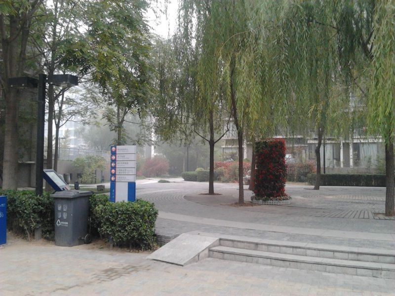 天月园 environment