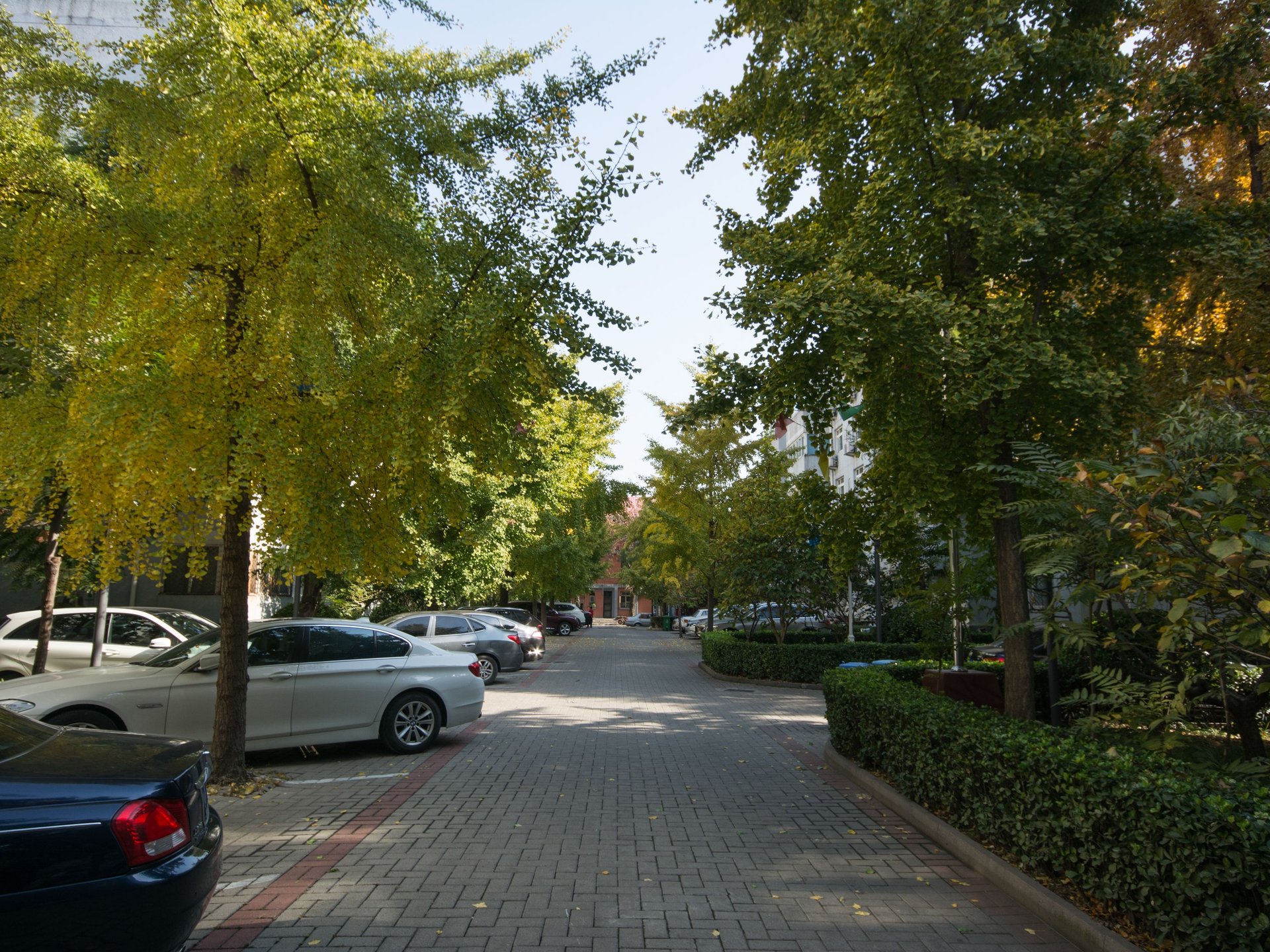 铁二区 environment