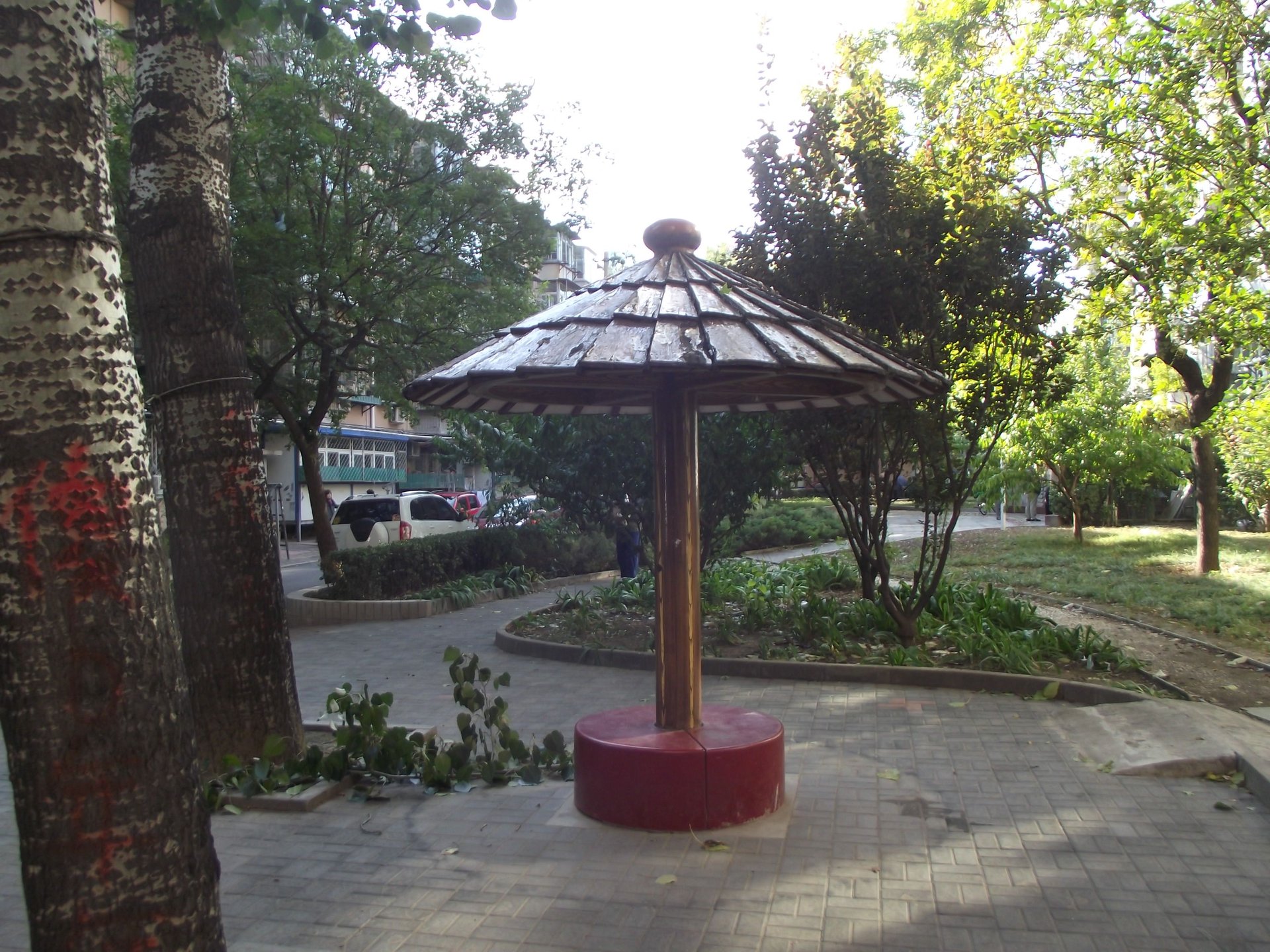 团结湖北三条 environment