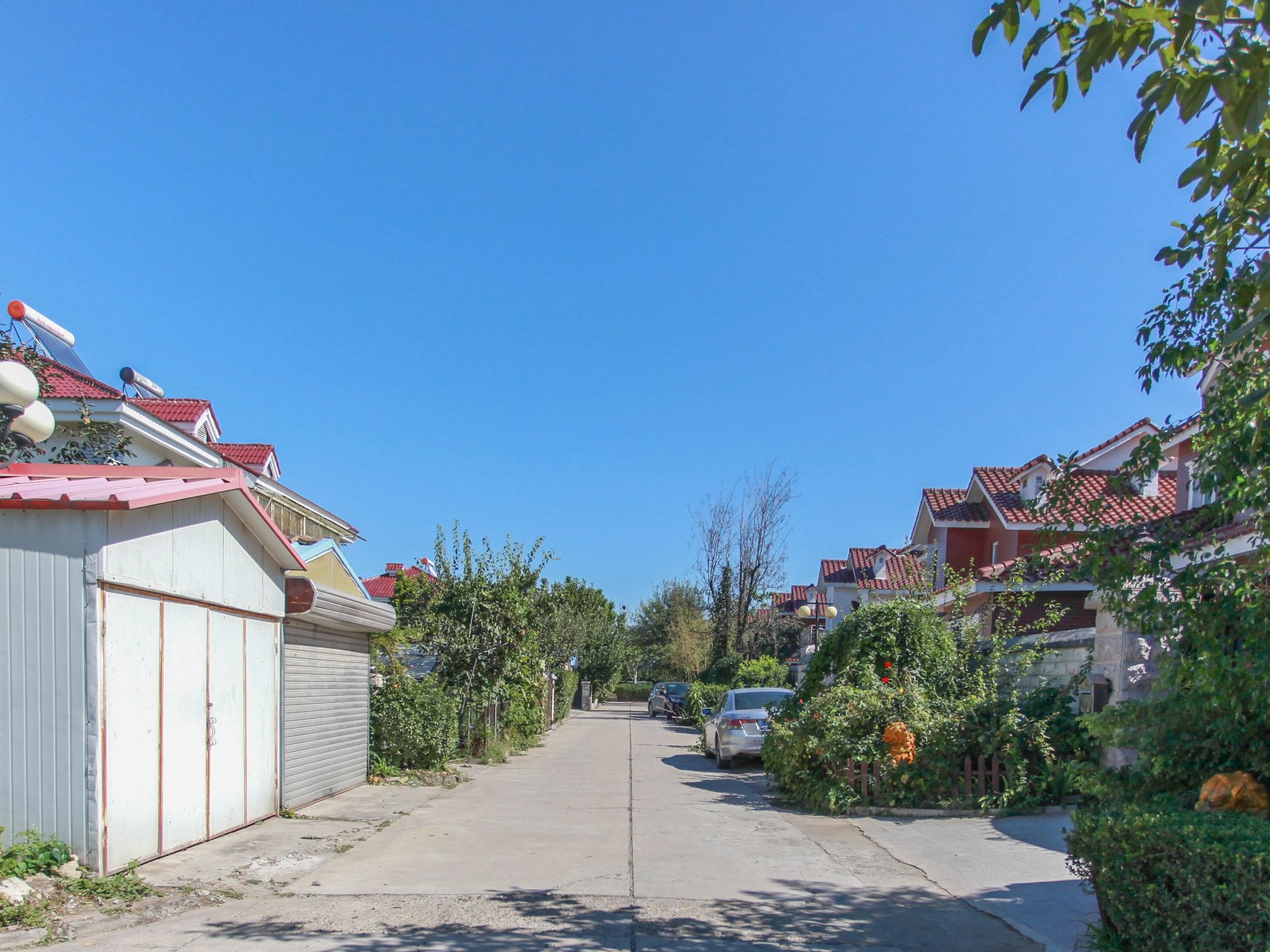 王府园中园 environment