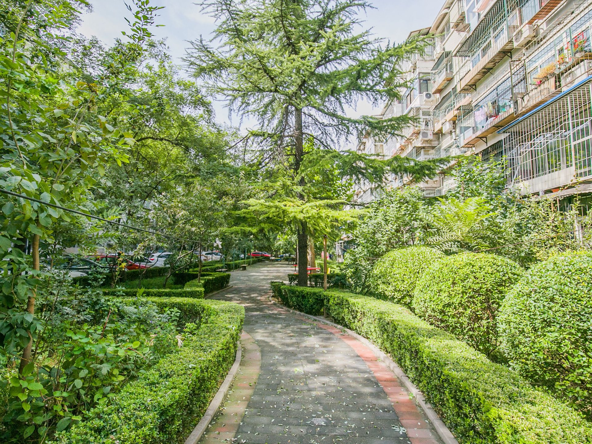 望花路西里 environment